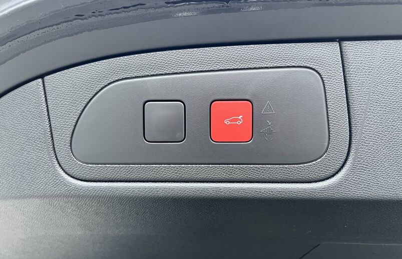 55715462