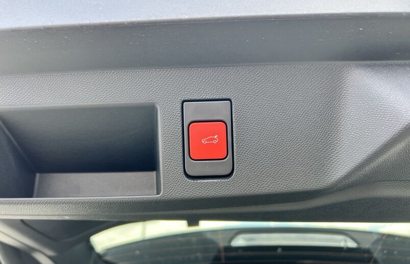 56290068