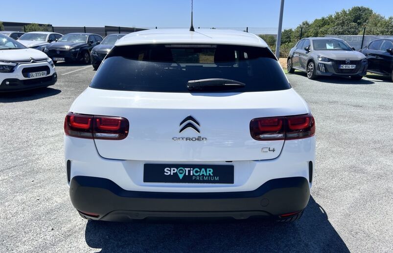 56889381